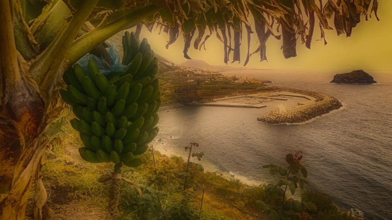 Modern Sea Front Apartment In Garachico 1 エクステリア 写真